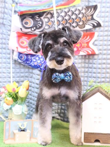 20230521オーシャンくん